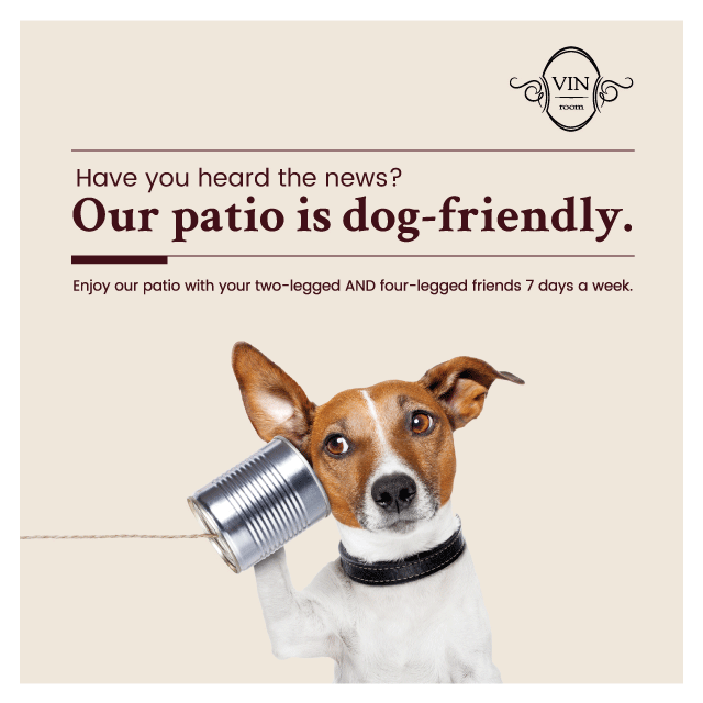 Dog Friendly Patio