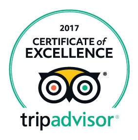 TripAdvisor 2017