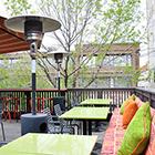 Calgary Buzz